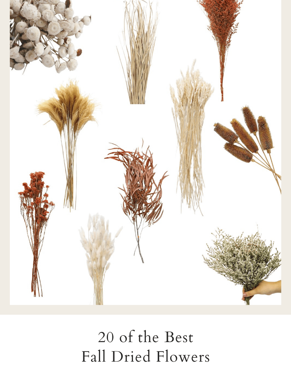 The Best Fall Dried Floral Stems