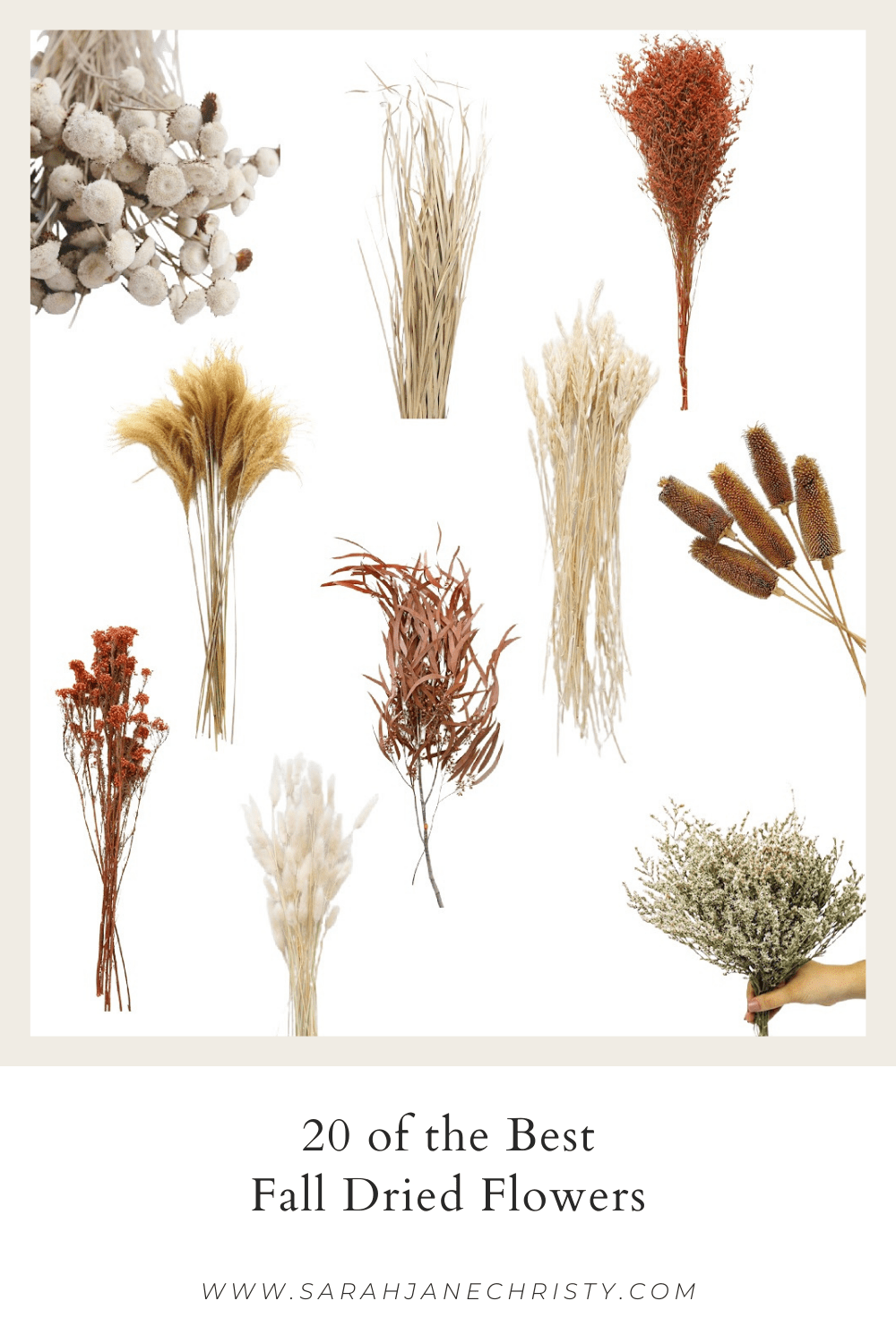 The Best Fall Dried Flowers for Decorating