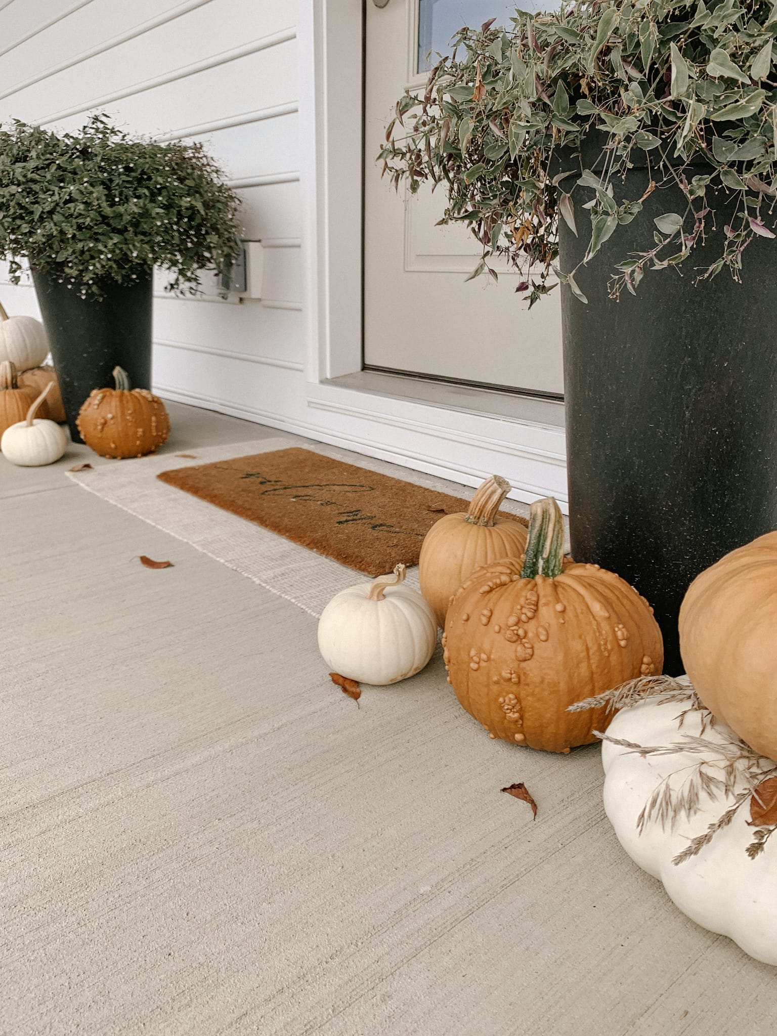 Light Orange and White Pumpkins with Dried Stems on Front Porch for Fall