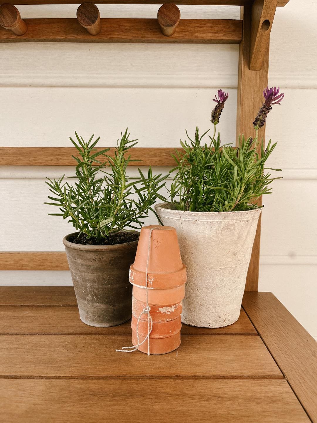 potting bench with herbs 
